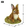 Adorable Bunny Garden Decoration for a Whimsical Touch to Your Outdoor Space