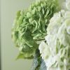 Hydrangea Bundle