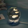 Stars And Seas; Ocean Series Crystal Ball Ornaments; Night Lights; Bedroom Desktop Decorations; Creative Birthday Gifts - Colorful Clownfish