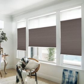 WELLSOURCE Manual Cordless Day and Night Cellular Shades Non Blackout Light Filtering Honeycomb Fabric for Home, Office, Hotel, Club, Restaurant Custo