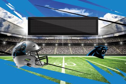 [Personalization Only] Official NFL Panthers - 20" x 32" Personalized Washable Rug - Personalization Only