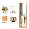 47.5 x 14.5 Inch Wood Frame Full Length Hanging Mirror - golden