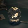 Stars And Seas; Ocean Series Crystal Ball Ornaments; Night Lights; Bedroom Desktop Decorations; Creative Birthday Gifts - Cute Starfish