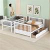 Twin-Over-Full Bunk Bed with Ladders and Two Storage Drawers (White) - as picture