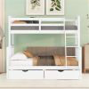 Twin-Over-Full Bunk Bed with Ladders and Two Storage Drawers (White) - as picture