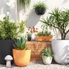 Self-Watering Plastic Indoor Outdoor Planter Pot  - white